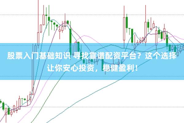 股票入门基础知识 寻找靠谱配资平台？这个选择让你安心投资，稳健盈利！