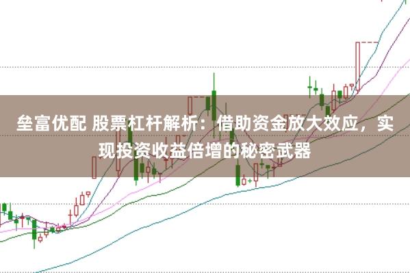 垒富优配 股票杠杆解析：借助资金放大效应，实现投资收益倍增的秘密武器