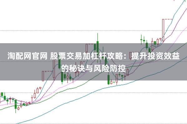 淘配网官网 股票交易加杠杆攻略：提升投资效益的秘诀与风险防控