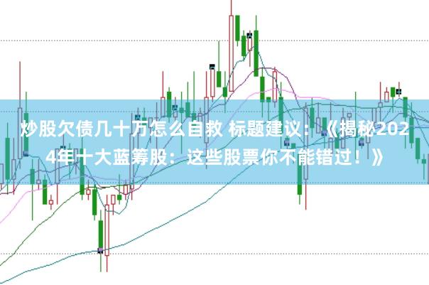炒股欠债几十万怎么自救 标题建议：《揭秘2024年十大蓝筹股：这些股票你不能错过！》